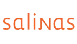 logotipo site salinas