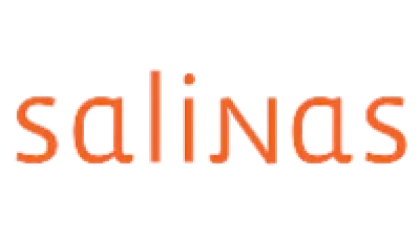 logotipo site salinas