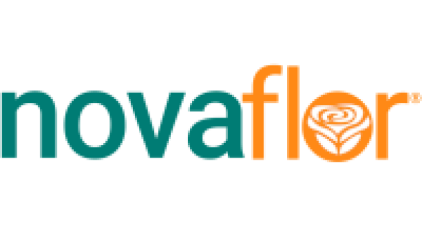 logotipo site nova flor