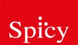logotipo site spicy